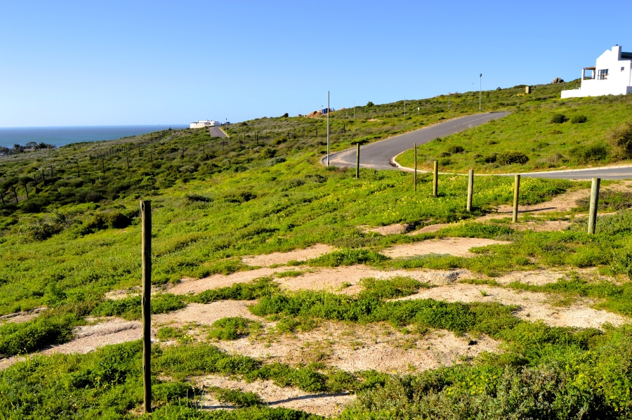 0 Bedroom Property for Sale in Steenbergs Cove Western Cape